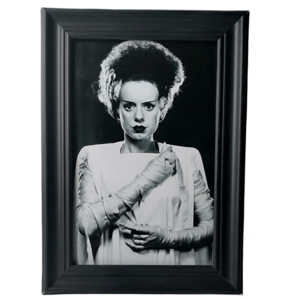 Vintage monster universal bride of frankenstein Queen marry Shelly Horror  Print